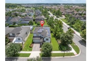 2516 WHITTLER BRANCH, ODESSA, FL 33556 - MLS#MFRTB8409419