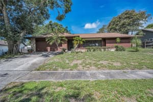 3040 ENISGLEN DRIVE, PALM HARBOR, FL 34683 Sold 09/02/25