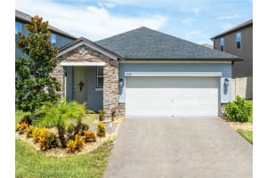 9790 Coneflower Ct, LAND O LAKES