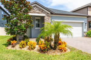 9790 CONEFLOWER COURT, LAND O LAKES, FL 34637 - MLS#MFRTB8409421