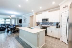 9790 CONEFLOWER COURT, LAND O LAKES, FL 34637 - MLS#MFRTB8409421