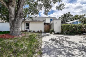 10303 Pennytree Pl, TAMPA