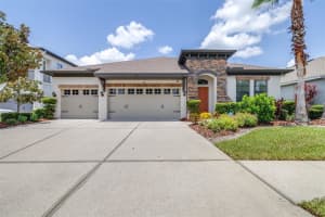 7147 Peregrina Loop, WESLEY CHAPEL