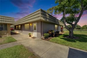 201 KINGS BOULEVARD, SUN CITY CENTER, FL 33573 - MLS#MFRTB8409482