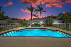 10530 CANARY ISLE DRIVE, TAMPA, FL 33647 - MLS#MFRTB8409487