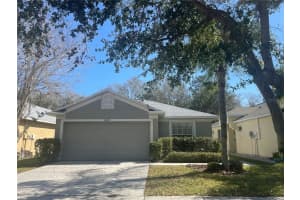 18143 Portside St, TAMPA
