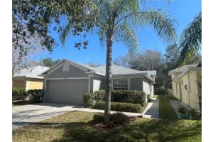 18143 PORTSIDE ST, TAMPA, FL 33647 - MLS#MFRTB8409491