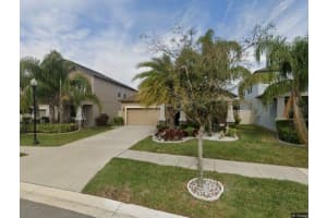 10612 Great Cormorant Dr, RIVERVIEW