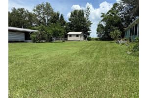 10034 HAMP DRIVE, DADE CITY, FL 33525 - MLS#MFRTB8409512