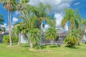 15619 SHOAL CREEK PLACE, ODESSA, FL 33556 - MLS#MFRTB8409543