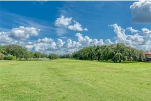 15619 SHOAL CREEK PLACE, ODESSA, FL 33556 - MLS#MFRTB8409543