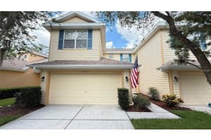 20227 Vintage Oaks Pl, TAMPA