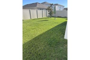 16122 SOFT FERN TRACE, ODESSA, FL 33556 - MLS#MFRTB8409563