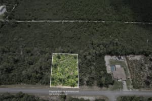 4354 FINDLAY STREET, CITRUS SPRINGS, FL 34433 Sold 09/29/25