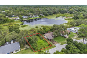 12236 TERRA CEIA AVENUE, NEW PORT RICHEY, FL 34654 - MLS#MFRTB8409674