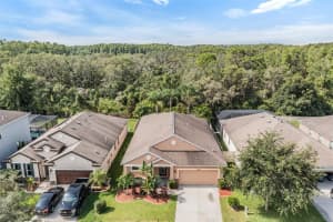 12918 TIKAL WAY, TRINITY, FL 34655 Sold 08/22/25