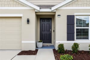 36326 SPANISH ROSE DRIVE, DADE CITY, FL 33525 - MLS#MFRTB8409693
