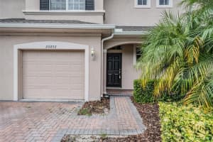 26832 JUNIPER BAY DRIVE, WESLEY CHAPEL, FL 33544 - MLS#MFRTB8409749