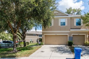9802 Blue Palm Way, TAMPA