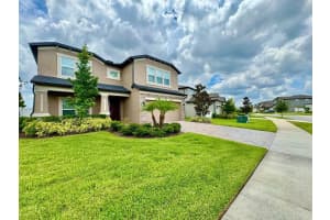 5732 NEWBERRY PINES AVENUE, WESLEY CHAPEL, FL 33545 - MLS#MFRTB8409775