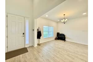 5732 NEWBERRY PINES AVENUE, WESLEY CHAPEL, FL 33545 - MLS#MFRTB8409775