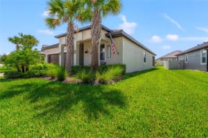 31665 MAGNA GULF LOOP, SAN ANTONIO, FL 33576 Sold 10/01/25