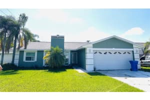 11207 Crossmill Dr, TAMPA