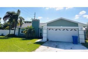 11207 CROSSMILL DRIVE, TAMPA, FL 33625 - MLS#MFRTB8409816