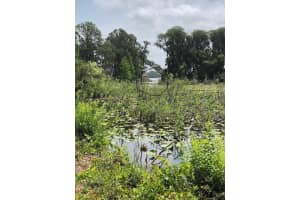 CARVER, NEW PORT RICHEY, FL 34654 - MLS#MFRTB8409821