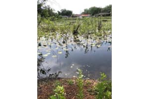 CARVER, NEW PORT RICHEY, FL 34654 - MLS#MFRTB8409821