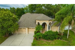 4850 WALNUT RIDGE ROAD, LAND O LAKES, FL 34638 - MLS#MFRTB8409833