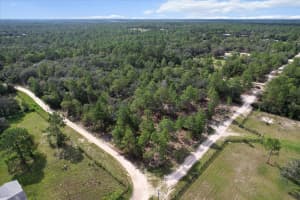 3582 CARPENTER COURT, DUNNELLON, FL 34433 - MLS#MFRTB8409873