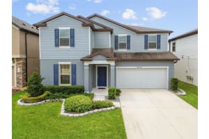 30414 Caravelle Ln, WESLEY CHAPEL