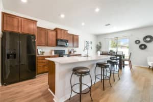 30414 CARAVELLE LANE, WESLEY CHAPEL, FL 33545 - MLS#MFRTB8409886