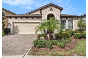 4016 CADENCE LOOP, LAND O LAKES, FL 34638 - MLS#MFRTB8409932