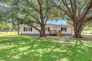 12716 Darren Pl, RIVERVIEW