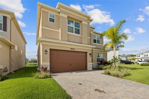 32684 TAMARIND GROVE LANE, WESLEY CHAPEL, FL 33543 - MLS#MFRTB8409948