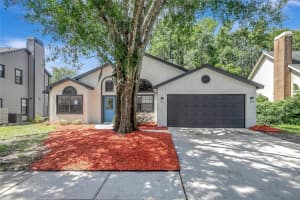 7116 Hummingbird Ln, NEW PORT RICHEY