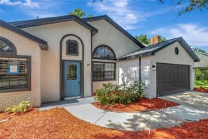 7116 HUMMINGBIRD LANE, NEW PORT RICHEY, FL 34655 - MLS#MFRTB8409969