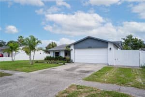 6704 ROSEMARY DRIVE, TAMPA, FL 33625 - MLS#MFRTB8409996