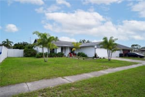 6704 ROSEMARY DRIVE, TAMPA, FL 33625 - MLS#MFRTB8409996