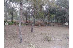 9468 MARENGO STREET, WEEKI WACHEE, FL 34613 - MLS#MFRTB8410006