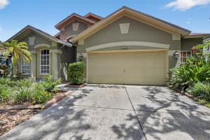 15467 MARTINMEADOW DRIVE, LITHIA, FL 33547 Sold 09/16/25