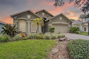 15467 MARTINMEADOW DRIVE, LITHIA, FL 33547 Sold 09/16/25