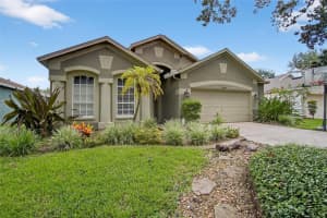 15467 MARTINMEADOW DRIVE, LITHIA, FL 33547 Sold 09/16/25