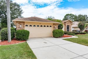 1251 Rambling Vine Ct, TRINITY