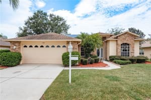 1251 RAMBLING VINE COURT, TRINITY, FL 34655 - MLS#MFRTB8410011