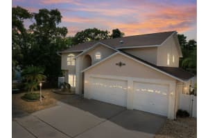 4738 Innisfil St, PALM HARBOR