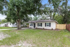 4205 King Alfred Dr, TAMPA