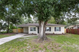 4205 KING ALFRED DRIVE, TAMPA, FL 33610 - MLS#MFRTB8410025